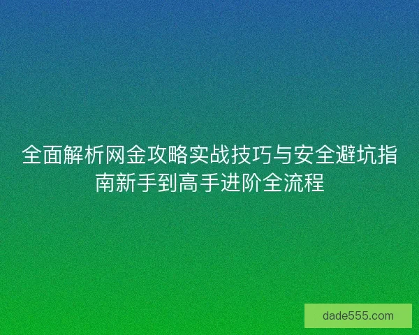 全面解析网金攻略实战技巧与安全避坑指南新手到高手进阶全流程 全面解析网金攻略实战技巧与安全避坑指南新手到高手进阶全流程